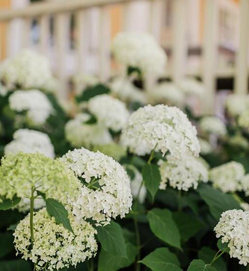 Skäftekärr Hotell Och Konferens