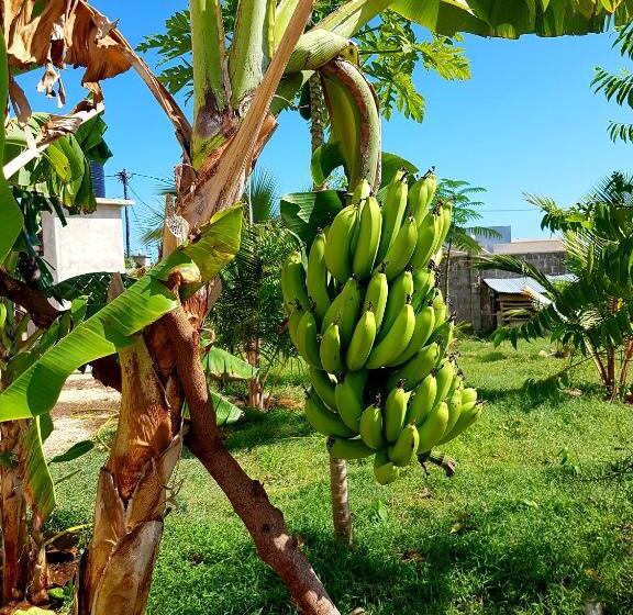 ベッドアンドブレックファースト Mimi Na Wewe Villa