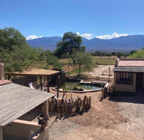 Bed and Breakfast Terraza Del Molle