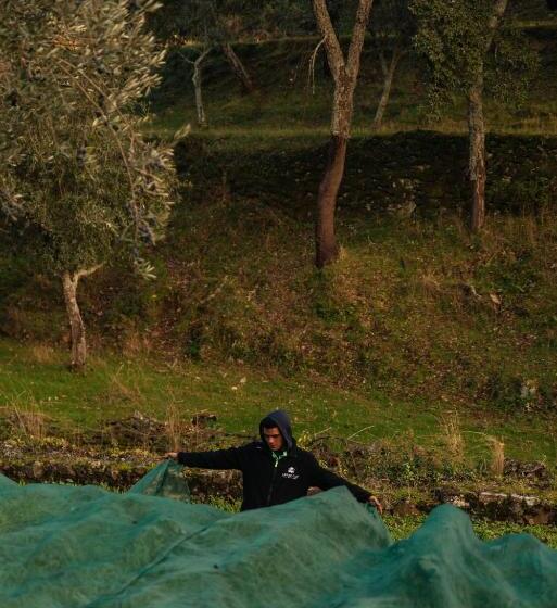 בית מלון כפרי Azeite De Marvão, Olivoturismo Casa Venda Do Lagar