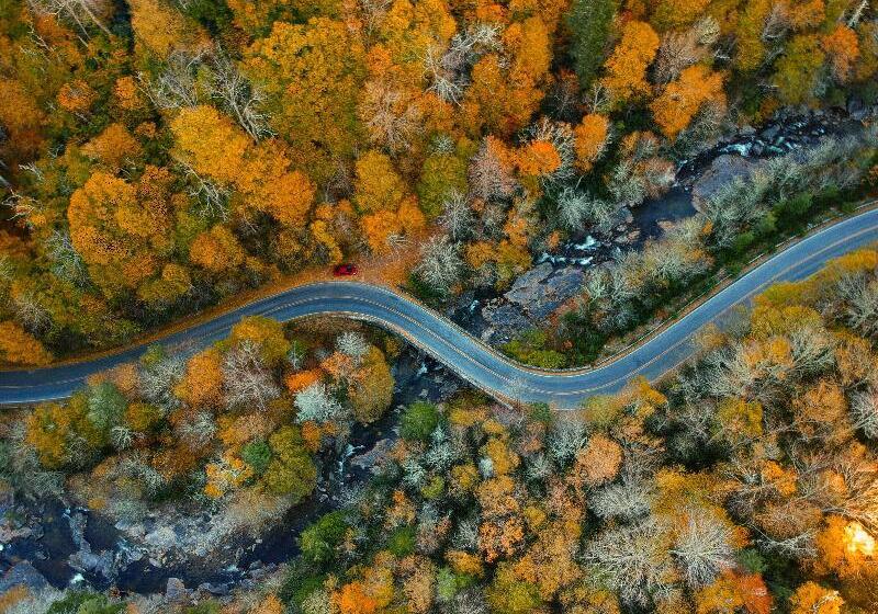 Отель Candlewood Suites Asheville Downtown, An Ihg