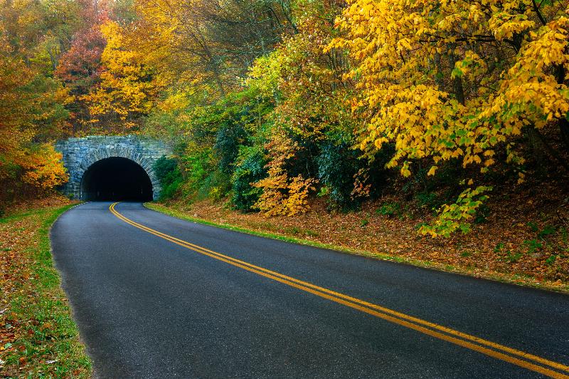 Отель Candlewood Suites Asheville Downtown, An Ihg