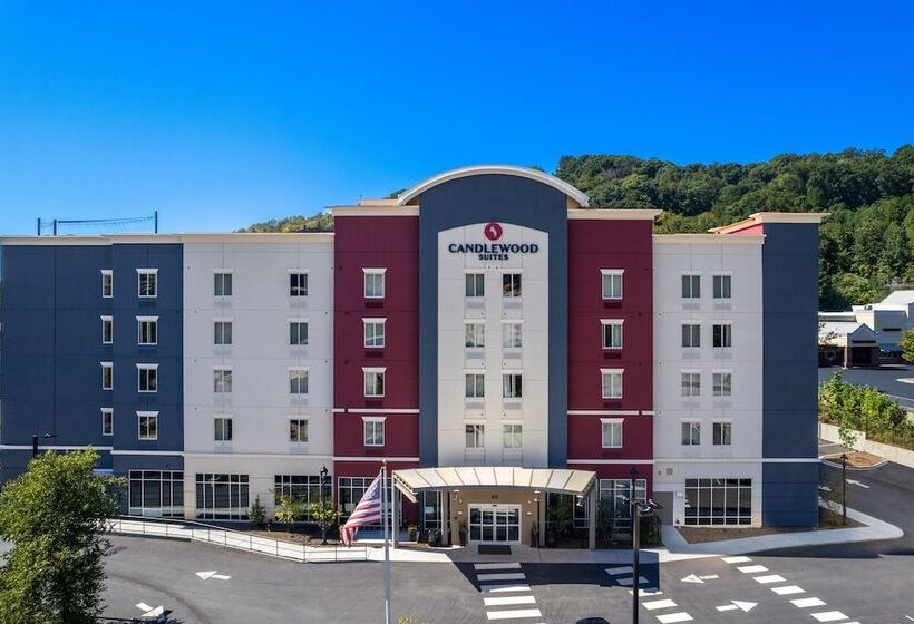 Отель Candlewood Suites Asheville Downtown, An Ihg