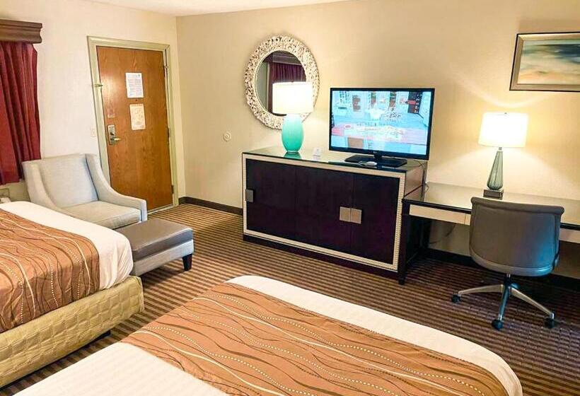 Eleven Boutique Hotel Llc