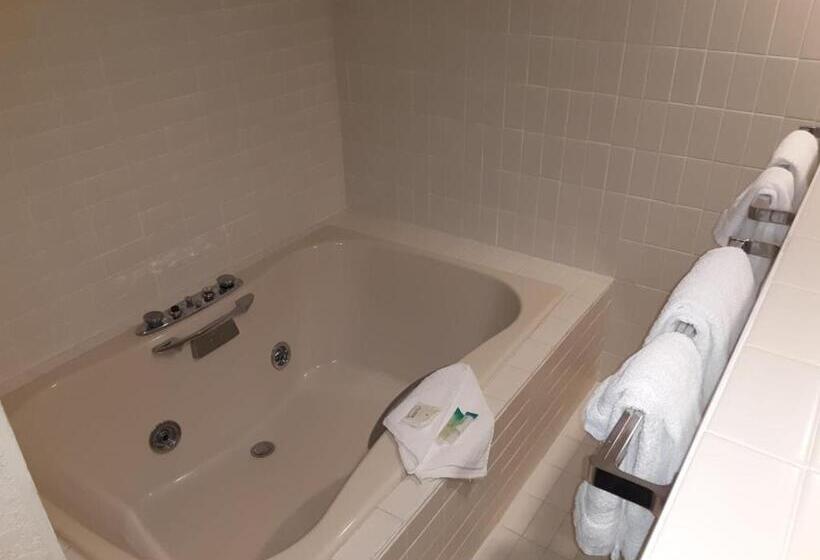 Eleven Boutique Hotel Llc