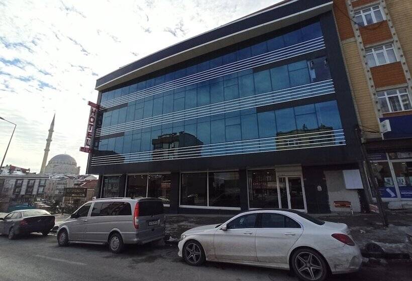 Отель Skylon Airport