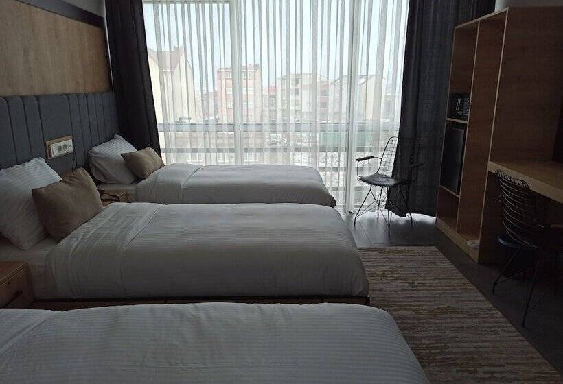 Отель Skylon Airport