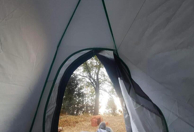 Janardan Studio Hotel Kausani