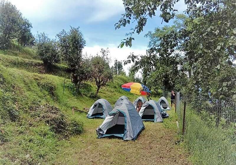 Janardan Studio Hotel Kausani