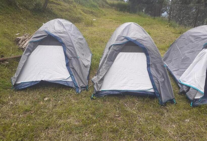 Janardan Studio Hotel Kausani