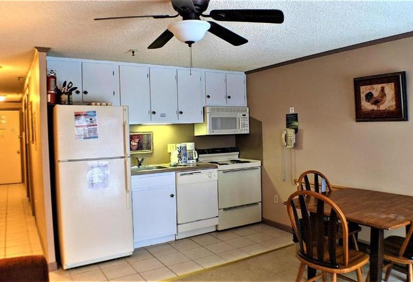 Stroll To Slopes, Village Area, Ski In Out Mtlodge 242