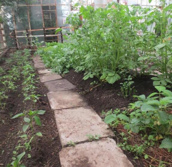 Пансион Jermatun Guest House