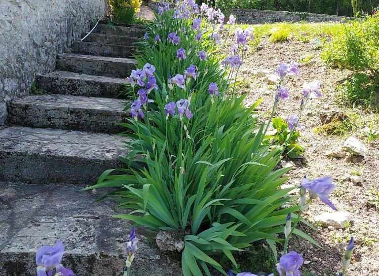 膳宿费 Manoir Le Moulinal47 Vue Panoramique