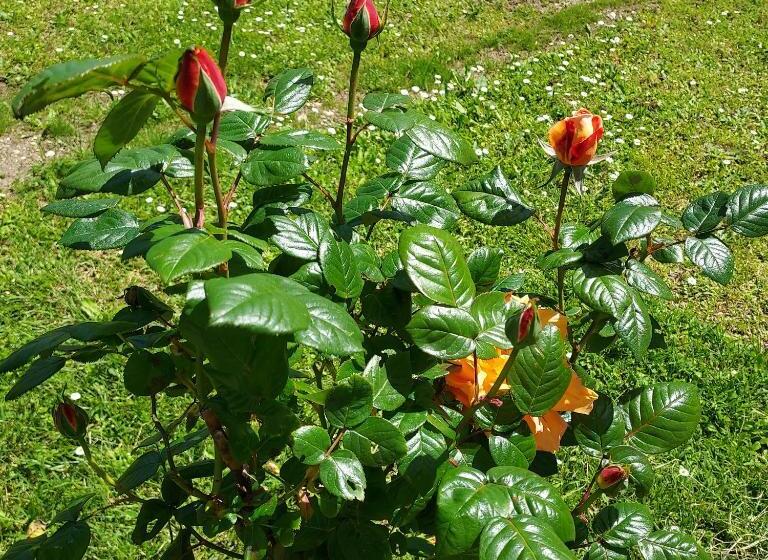 膳宿费 Manoir Le Moulinal47 Vue Panoramique