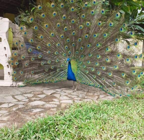 膳宿费 Pousada Toca Da Coruja