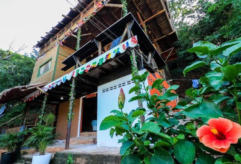 Tamarindo Beach Hostel