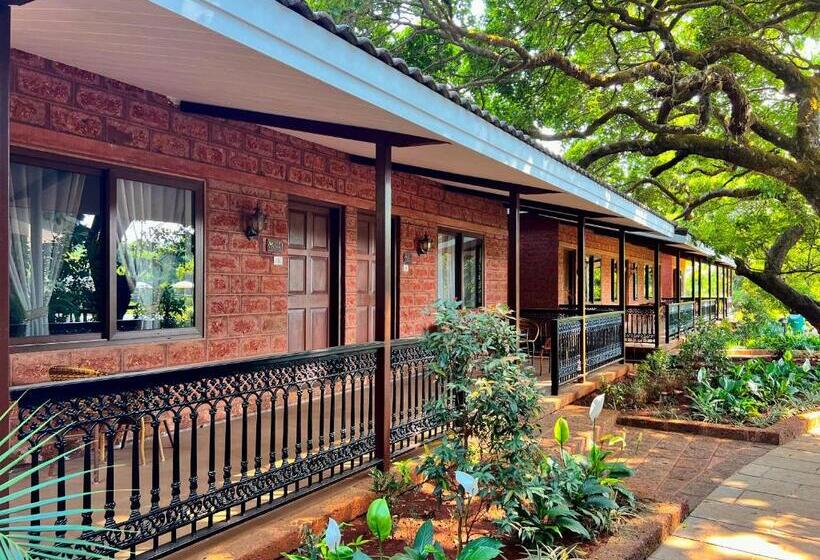 Tranquil Resort & Spa