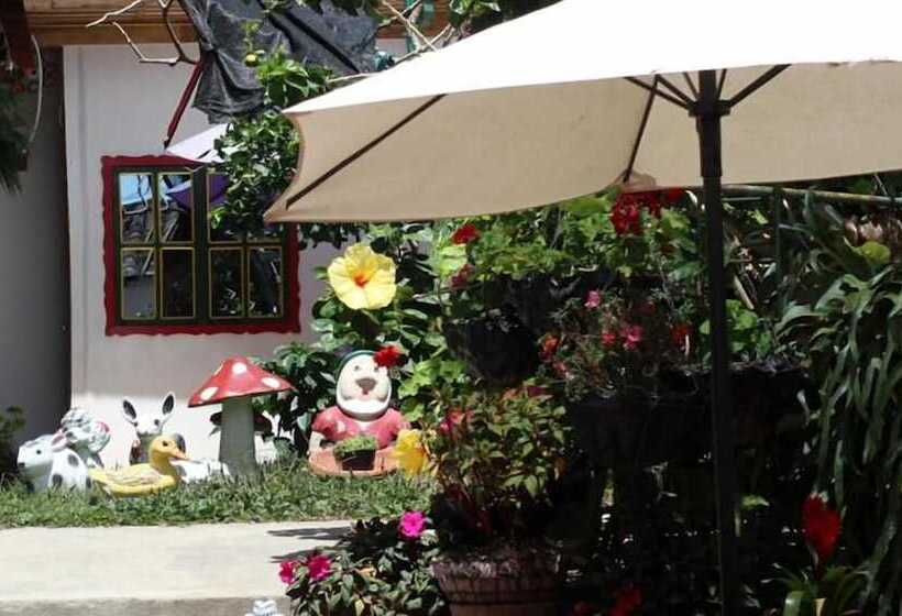 Общежитие Aroma Cafetera