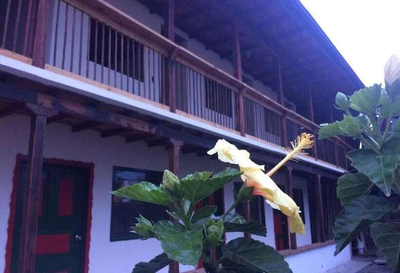 Общежитие Aroma Cafetera