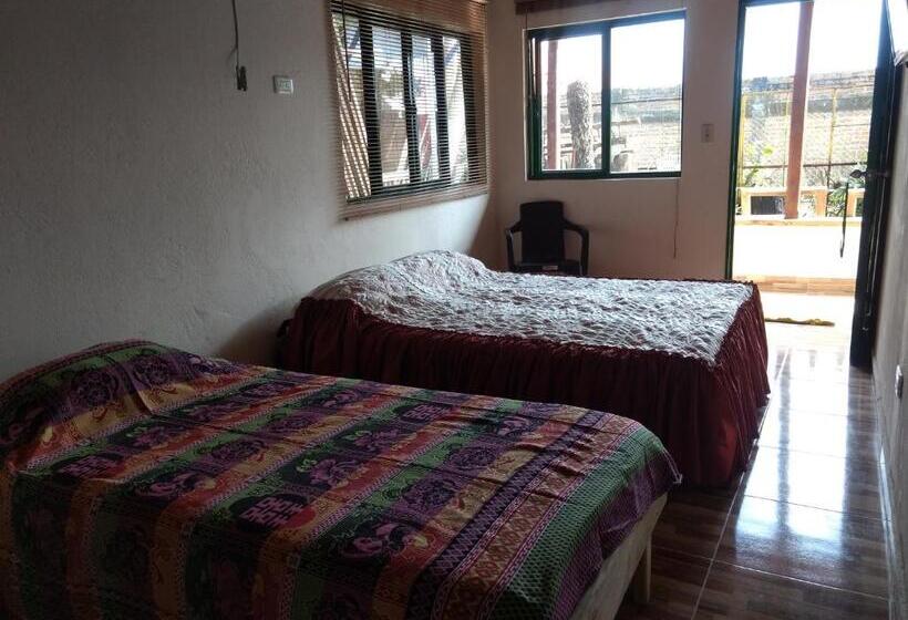 هاستل Aroma Cafetera