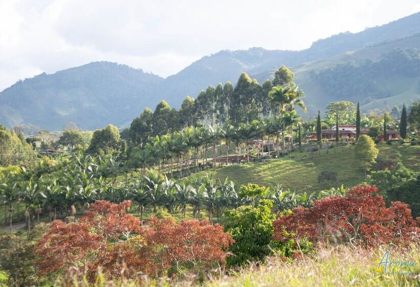 Общежитие Aroma De Campo