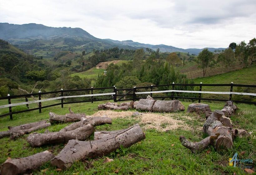 Общежитие Aroma De Campo