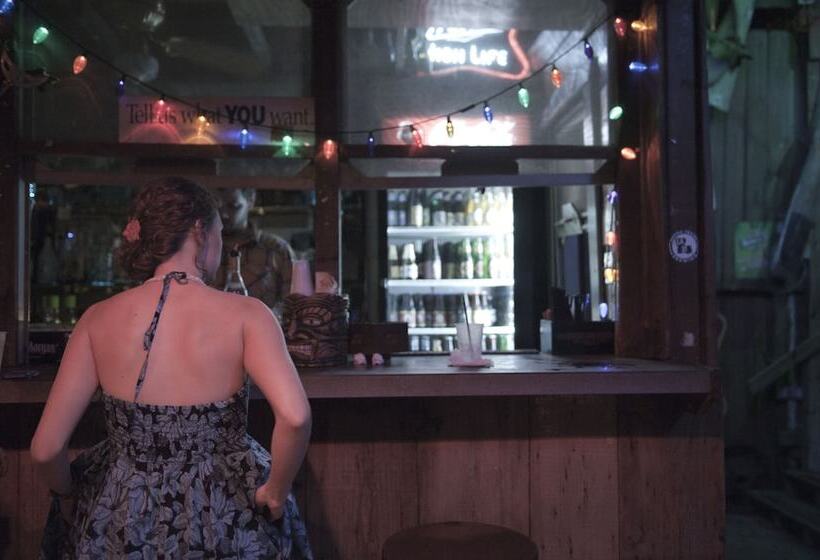 هاستل Blue Moon Guest House