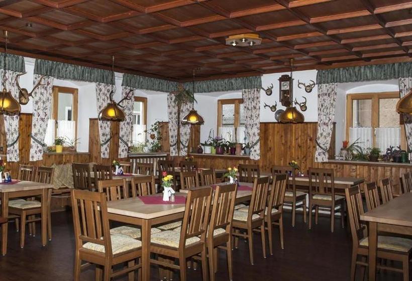 Общежитие Gasthof Stern