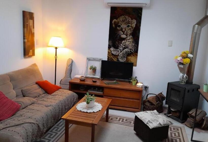 هاستل Posada Mela