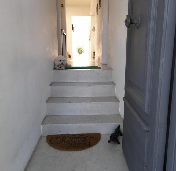 هاستل Posada Mela