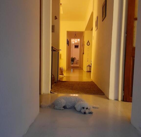 هاستل Posada Mela