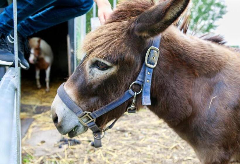 住宿加早餐  Het Groene Wout