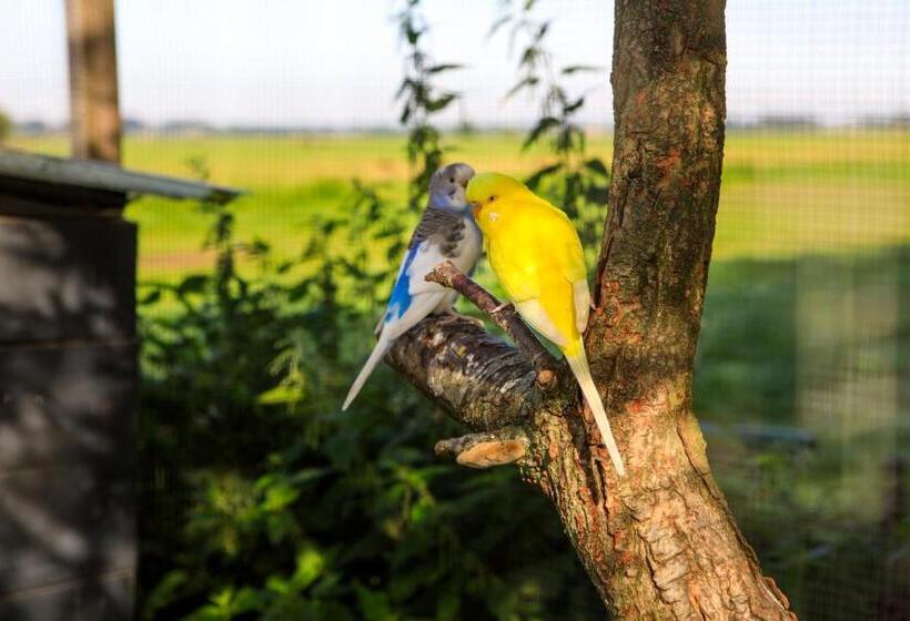 住宿加早餐  Het Groene Wout