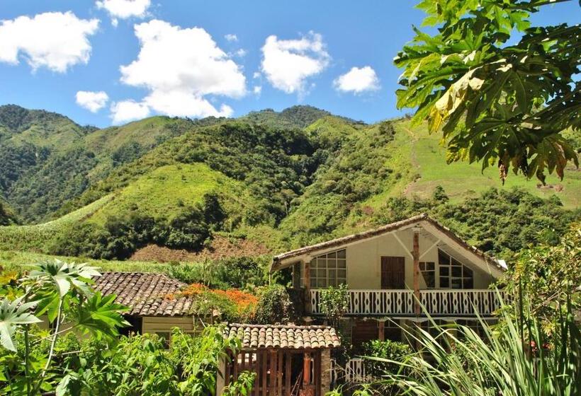 住宿加早餐  Pacheco Farmhouse   Intag Valley