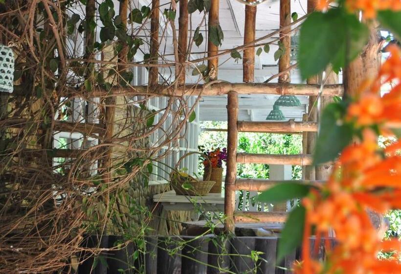 住宿加早餐  Pacheco Farmhouse   Intag Valley