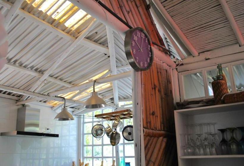 住宿加早餐  Pacheco Farmhouse   Intag Valley