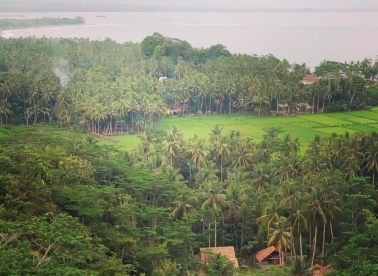 Bed and Breakfast Rnv Eco Resort Bungalows