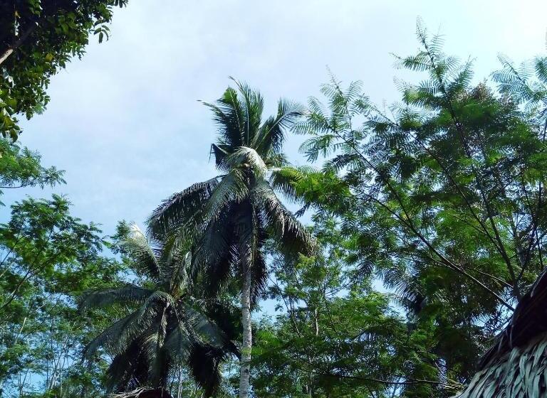 Bed and Breakfast Rnv Eco Resort Bungalows