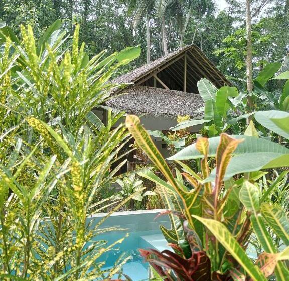 Bed and Breakfast Rnv Eco Resort Bungalows