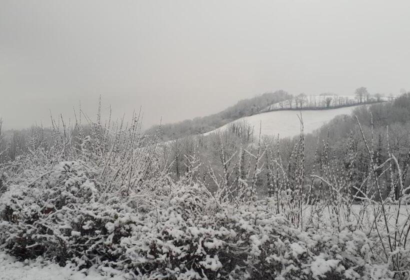 تختخواب و صبحانه Villa Goxoki Avec Piscine Saint Jean Pied De Port