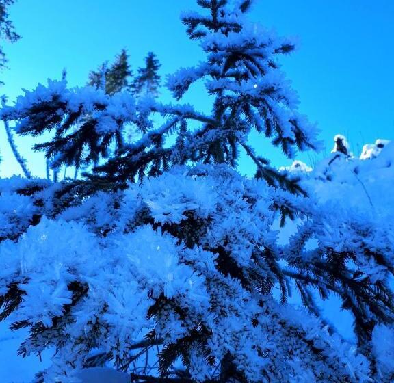 צימר Apartments Kranebitt