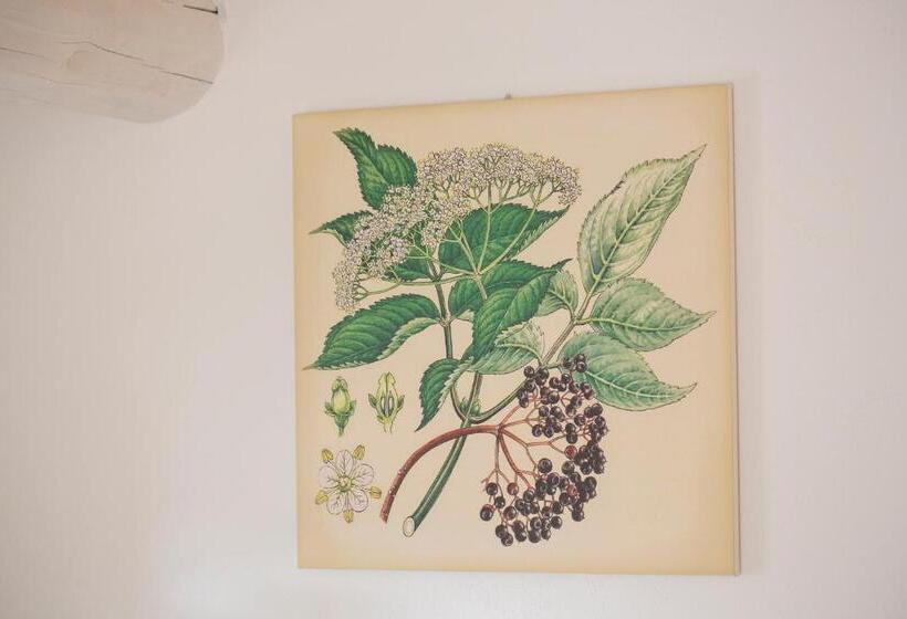 ホテル Agriturismo Torre Del Marino