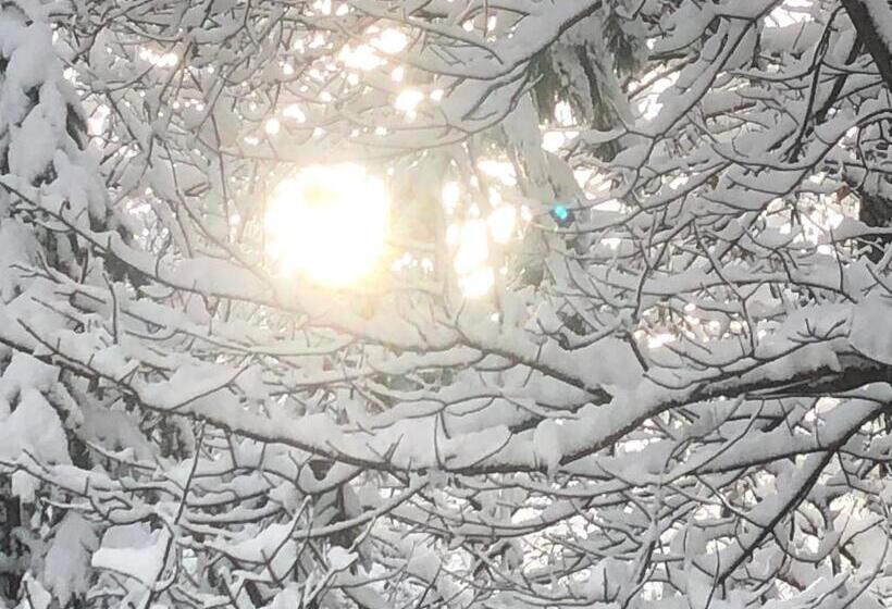 فندق B&b Franceschi