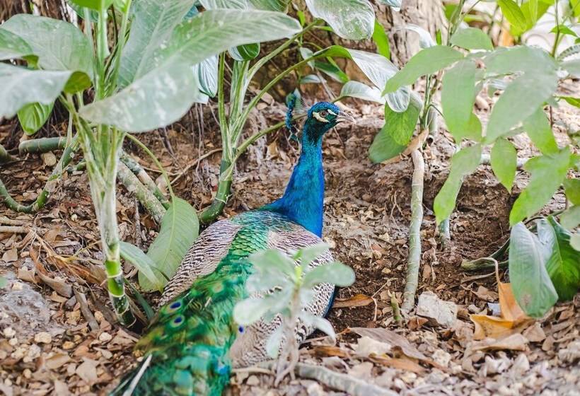 בית מלון כפרי Campestre Villa Martha