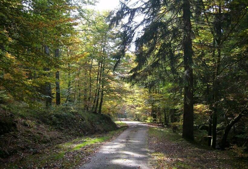 酒店 Chalet Du Montal