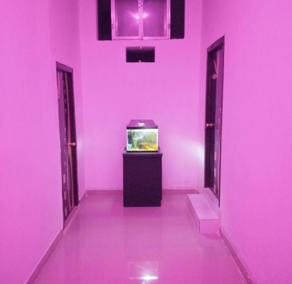 ホテル City Palace