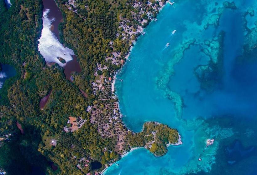 בית מלון כפרי Cocotera Beach