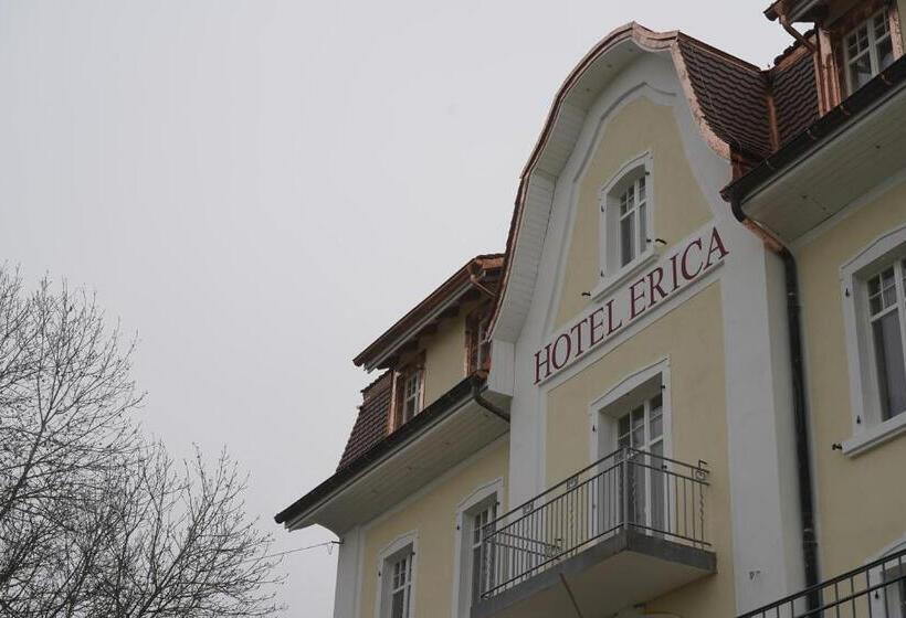 בית מלון כפרי Erica