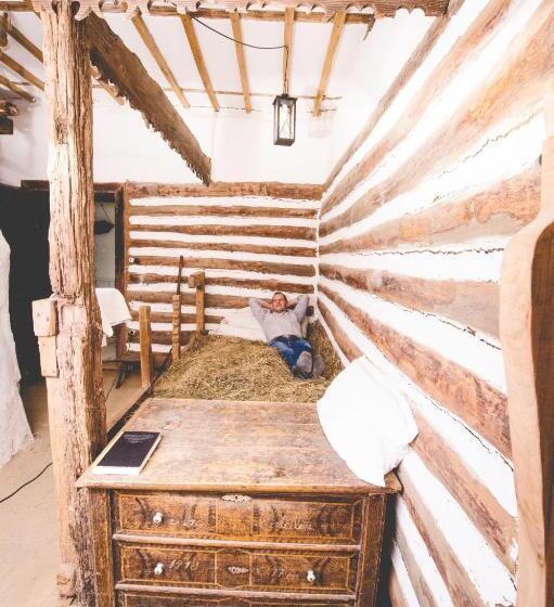 ホテル Faluhely Major