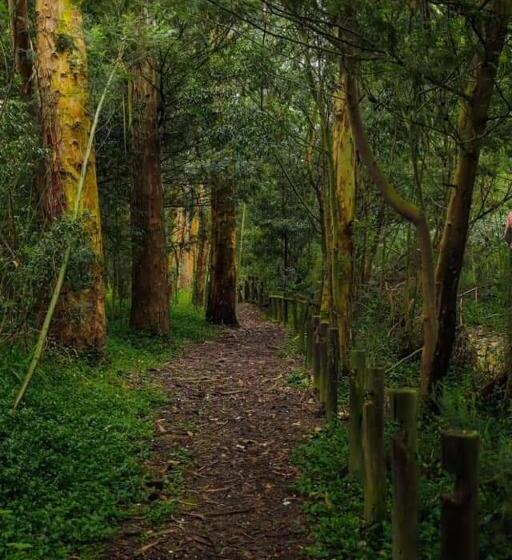 فندق Finca El Recreo